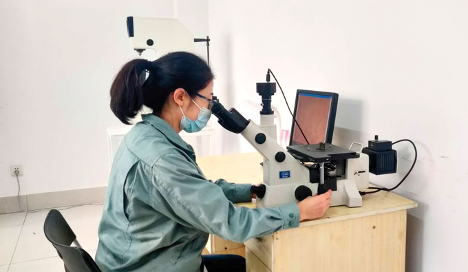 Xe tải và xe tải nhẹ Phanh trống ô tô Phụ tùng ô tô Đúc sắt 3